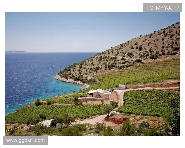 世界第一赌城：分析摩纳哥蒙特卡洛的奢华生活方式与顶级赌场的辉煌历史