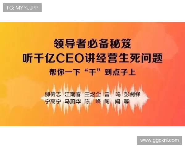 探秘AG真人赌场的后台系统，揭秘其高效公正的游戏环境和公平抽奖体系